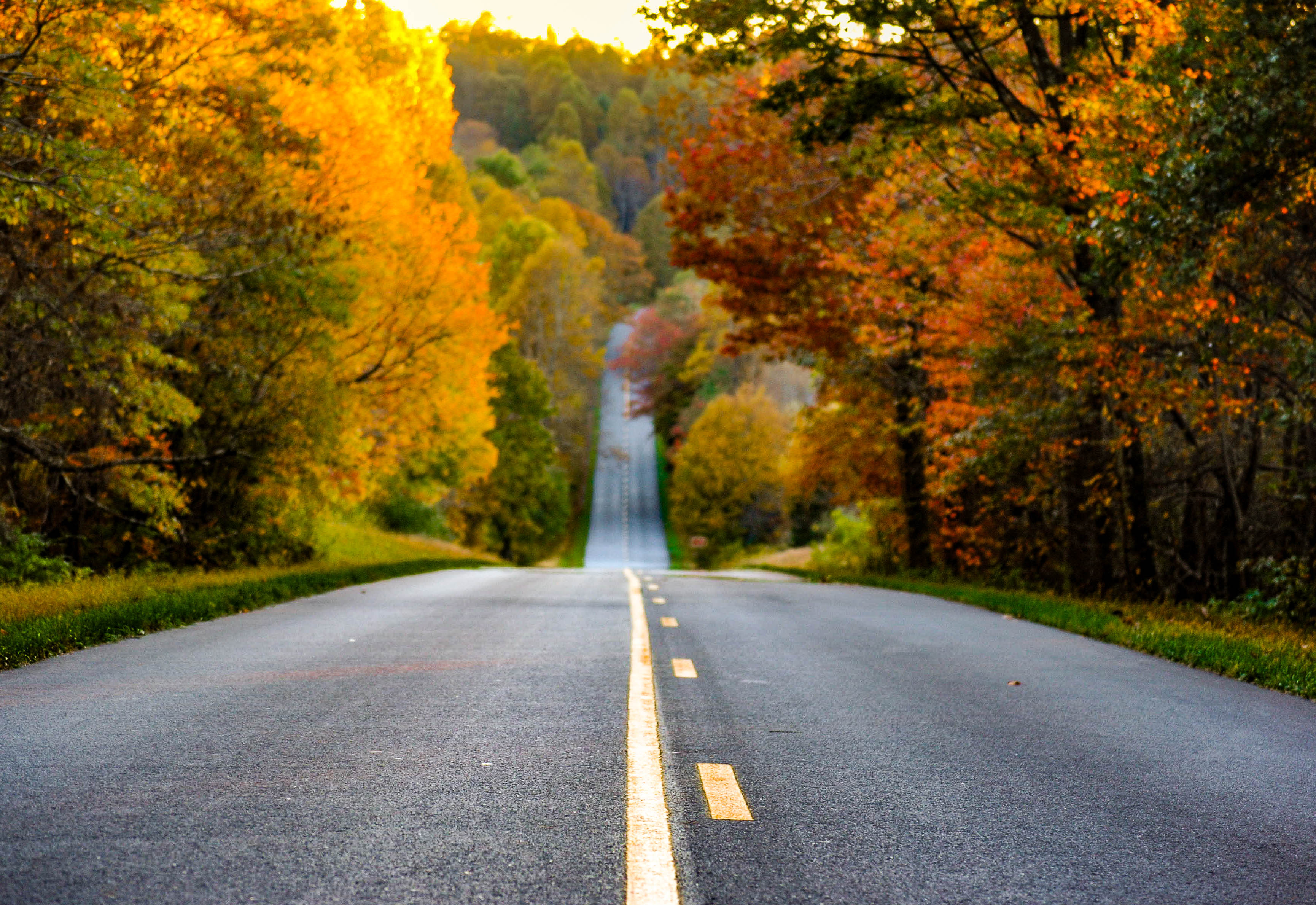 Drive the Blue Ridge Parkway this Fall 3Day Itinerary for America's